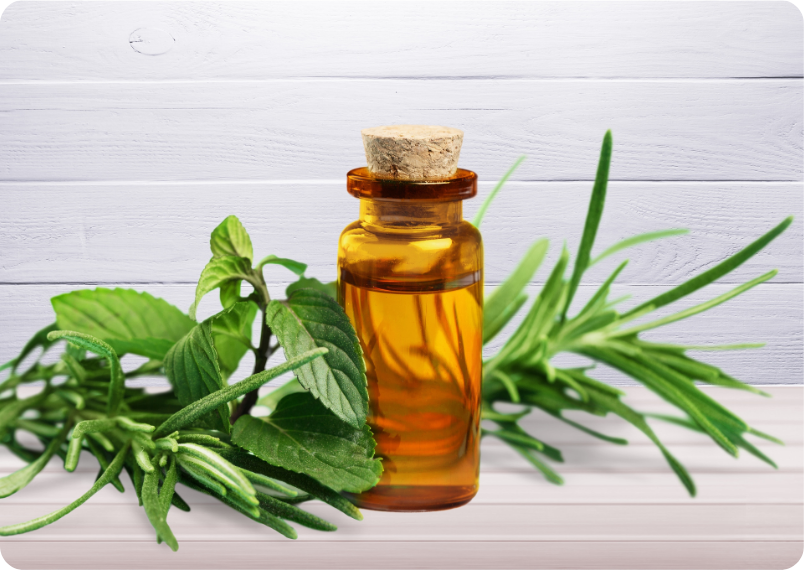 Green Tea in Skincare: Why Japanese Formulas Stand Out